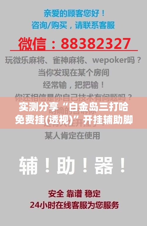 实测分享“白金岛三打哈免费挂(透视)”开挂辅助脚本+详细开挂安装教程