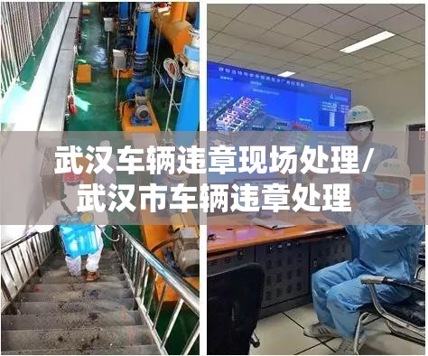 武汉车辆违章现场处理/武汉市车辆违章处理