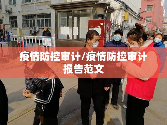 疫情防控审计/疫情防控审计报告范文 疫情防控审计/疫情防控审计报告范文