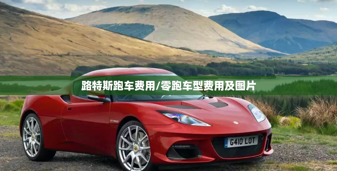 路特斯跑车费用/零跑车型费用及图片