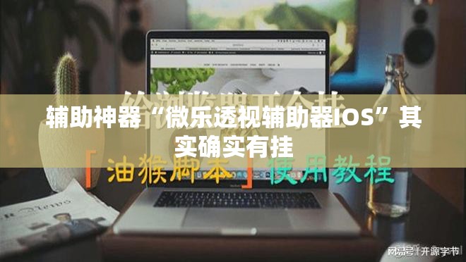 辅助神器“微乐透视辅助器IOS	”其实确实有挂