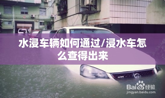 水浸车辆如何通过/浸水车怎么查得出来 水浸车辆如何通过/浸水车怎么查得出来