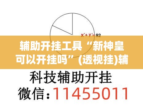 辅助开挂工具“新神皇可以开挂吗	”(透视挂)辅助下载教程