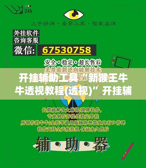 开挂辅助工具“新猴王牛牛透视教程(透视)”开挂辅助脚本+详细开挂安装教程