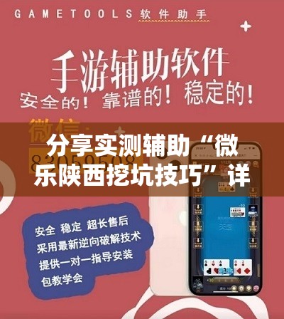分享实测辅助“微乐陕西挖坑技巧”详细外挂透视辅助软件教程