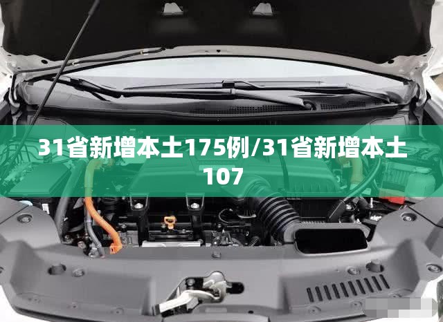 31省新增本土175例/31省新增本土107 31省新增本土175例/31省新增本土107