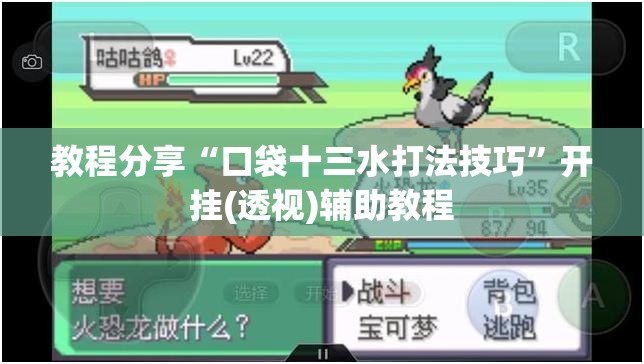 教程分享“口袋十三水打法技巧”开挂(透视)辅助教程