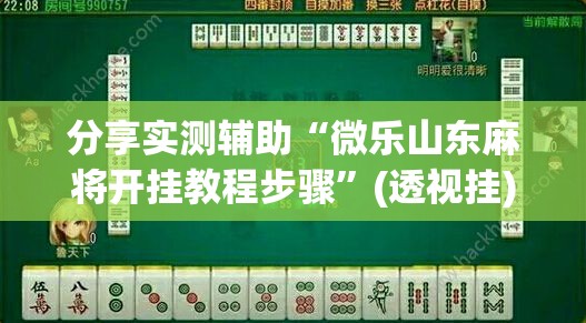 分享实测辅助“微乐山东麻将开挂教程步骤”(透视挂)辅助下载教程