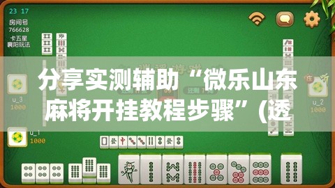 分享实测辅助“微乐山东麻将开挂教程步骤	”(透视挂)辅助下载教程