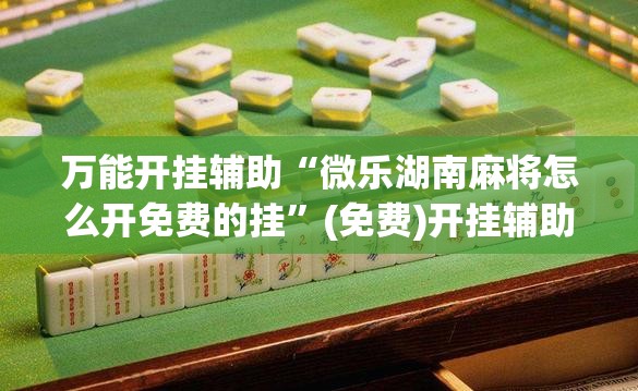 万能开挂辅助“微乐湖南麻将怎么开免费的挂	”(免费)开挂辅助教学(最新辅助开挂教程)