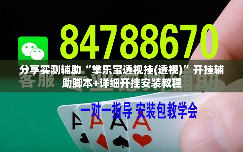 分享实测辅助“掌乐宝透视挂(透视)	”开挂辅助脚本+详细开挂安装教程