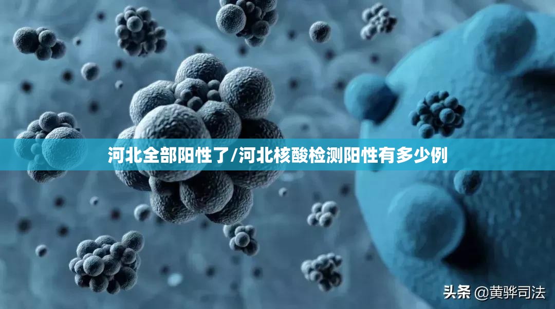 河北全部阳性了/河北核酸检测阳性有多少例 河北全部阳性了/河北核酸检测阳性有多少例