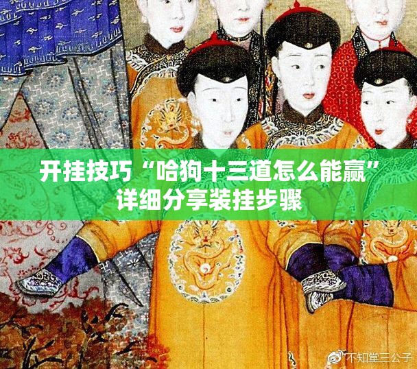开挂技巧“哈狗十三道怎么能赢”详细分享装挂步骤