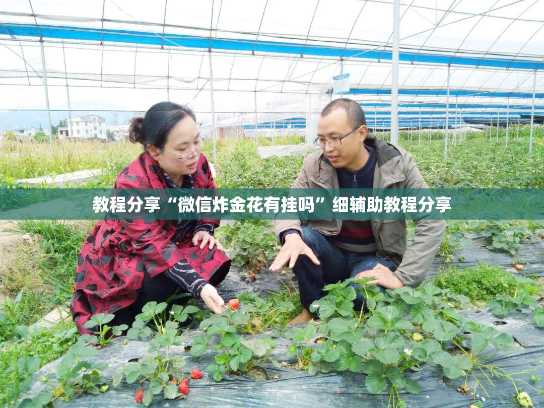 教程分享“微信炸金花有挂吗	”细辅助教程分享