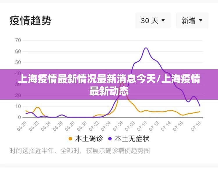 上海疫情最新情况最新消息今天/上海疫情最新动态 上海疫情最新情况最新消息今天/上海疫情最新动态