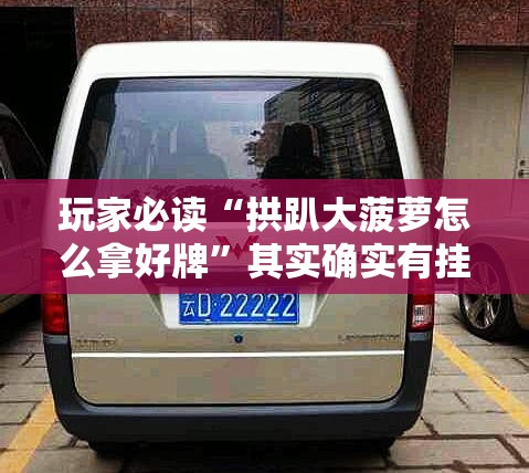 玩家必读“拱趴大菠萝怎么拿好牌”其实确实有挂