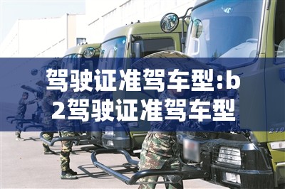 驾驶证准驾车型:b2驾驶证准驾车型 驾驶证准驾车型:b2驾驶证准驾车型