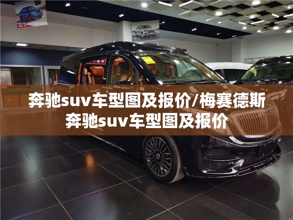 奔驰suv车型图及报价/梅赛德斯奔驰suv车型图及报价 奔驰suv车型图及报价/梅赛德斯奔驰suv车型图及报价
