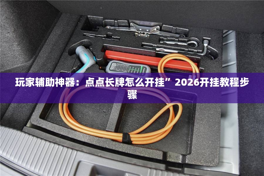 玩家辅助神器：点点长牌怎么开挂”2026开挂教程步骤