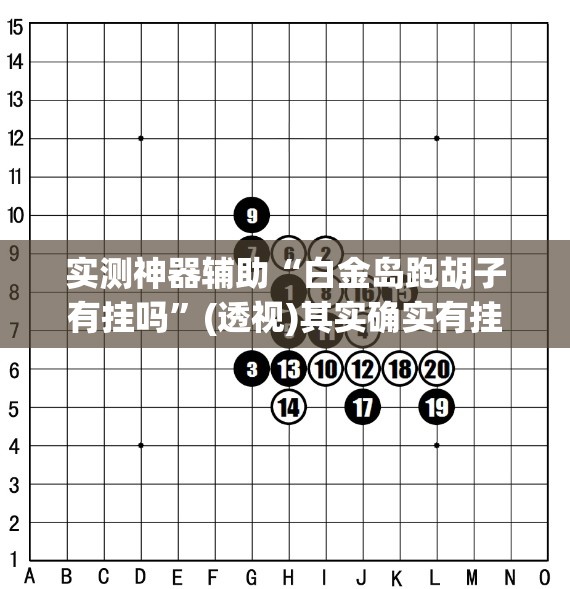 实测神器辅助“白金岛跑胡子有挂吗”(透视)其实确实有挂