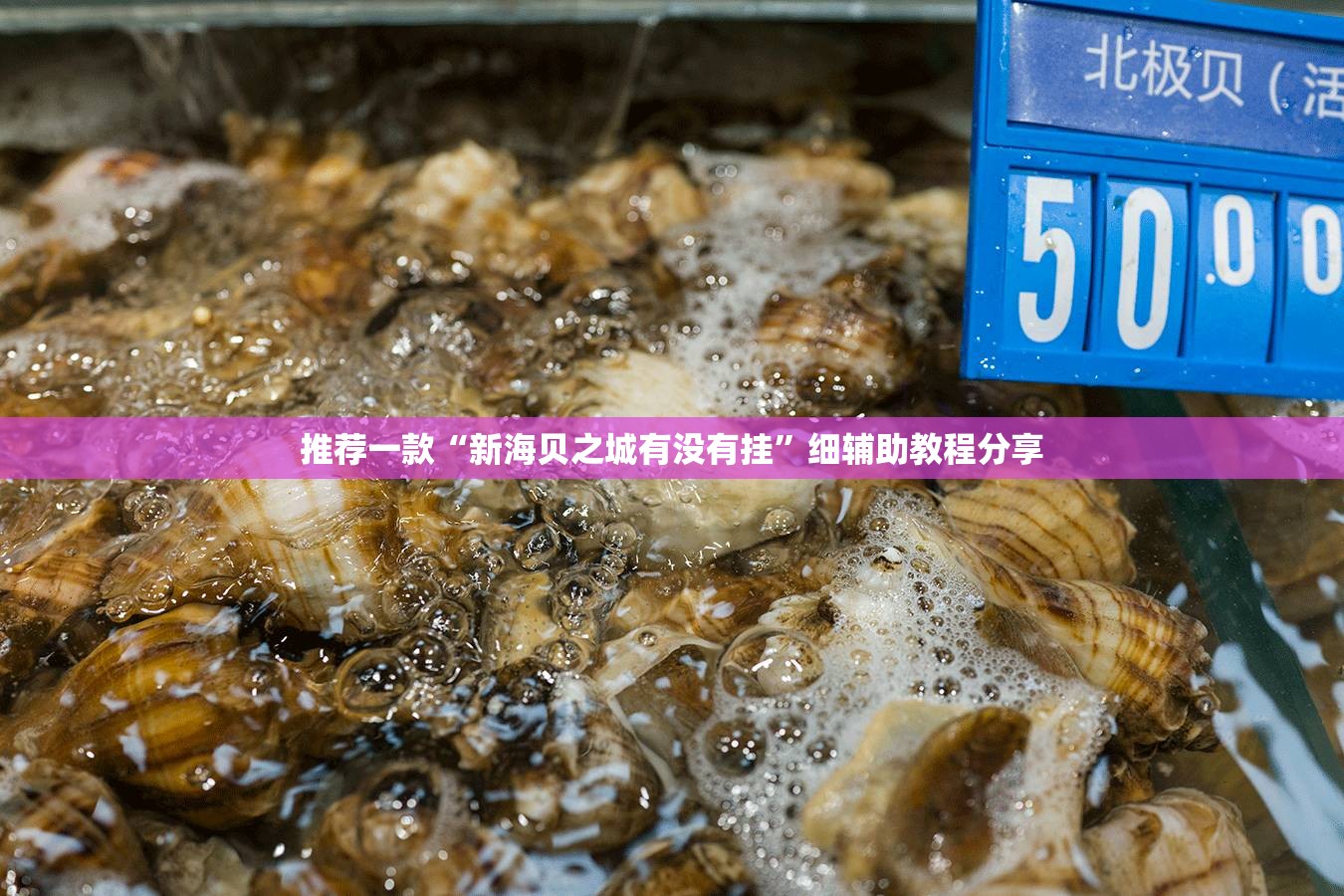 推荐一款“新海贝之城有没有挂	”细辅助教程分享