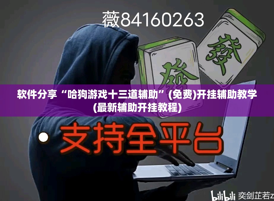 软件分享“哈狗游戏十三道辅助	”(免费)开挂辅助教学(最新辅助开挂教程)