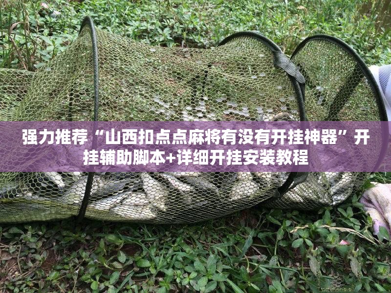 强力推荐“山西扣点点麻将有没有开挂神器”开挂辅助脚本+详细开挂安装教程