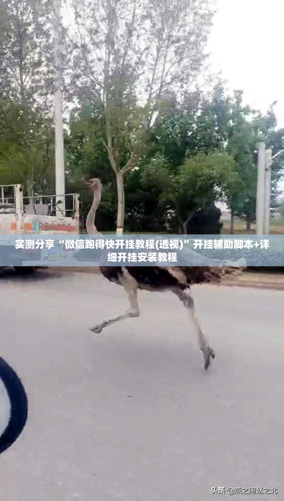 实测分享“微信跑得快开挂教程(透视)”开挂辅助脚本+详细开挂安装教程