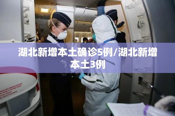 湖北新增本土确诊5例/湖北新增本土3例 湖北新增本土确诊5例/湖北新增本土3例