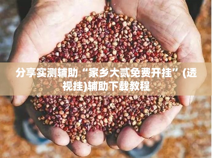 分享实测辅助“家乡大贰免费开挂”(透视挂)辅助下载教程
