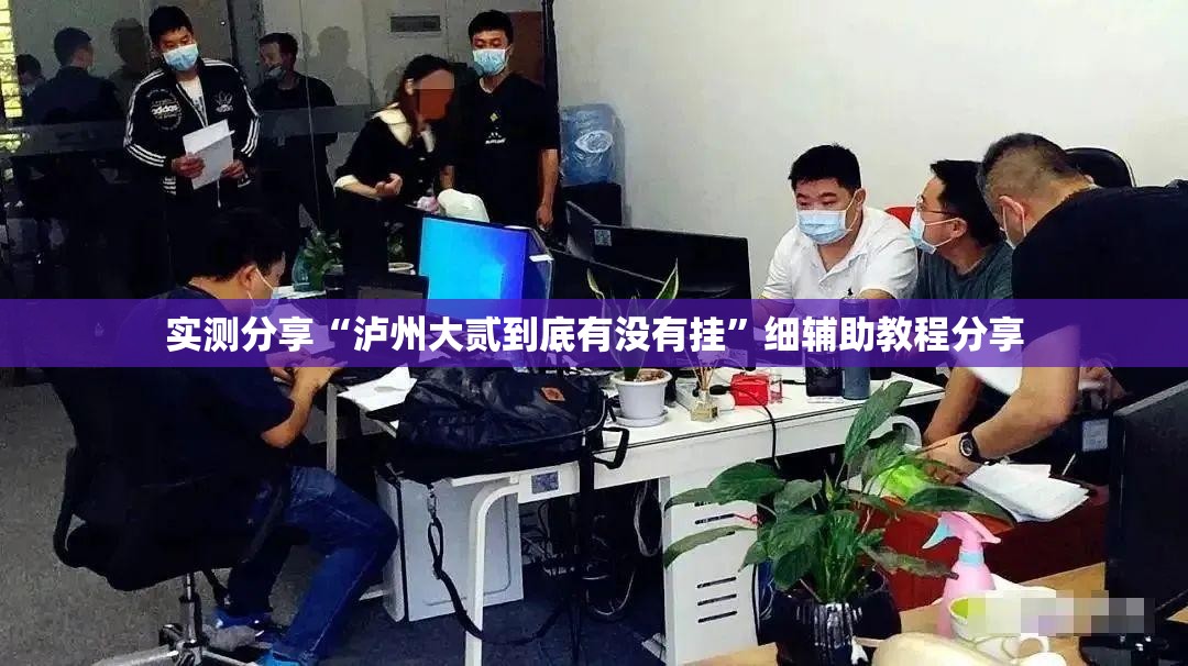实测分享“泸州大贰到底有没有挂”细辅助教程分享