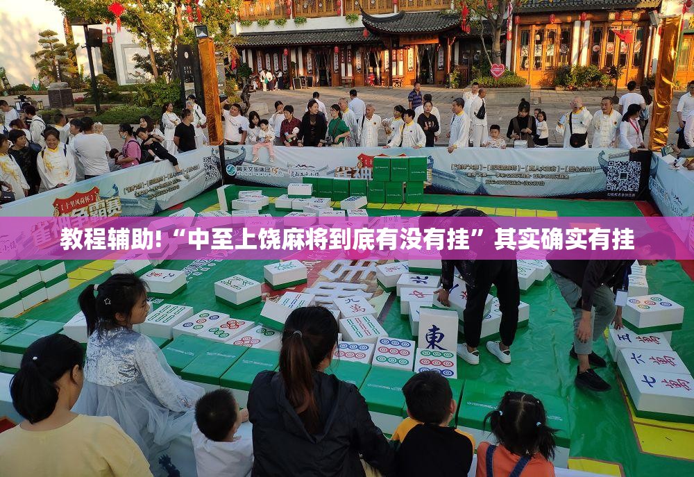 教程辅助!“中至上饶麻将到底有没有挂”其实确实有挂