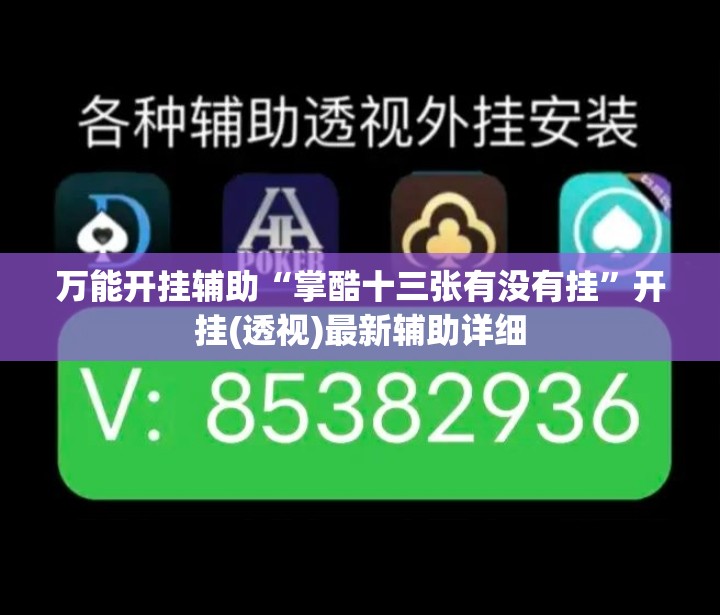 万能开挂辅助“掌酷十三张有没有挂”开挂(透视)最新辅助详细