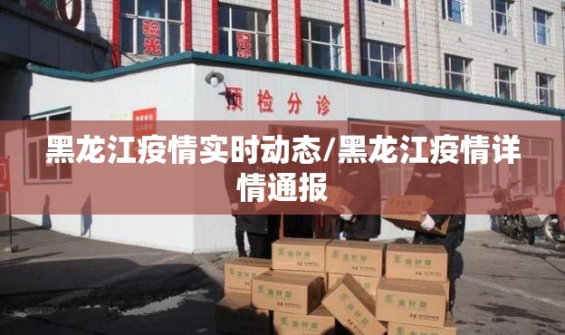 黑龙江疫情实时动态/黑龙江疫情详情通报