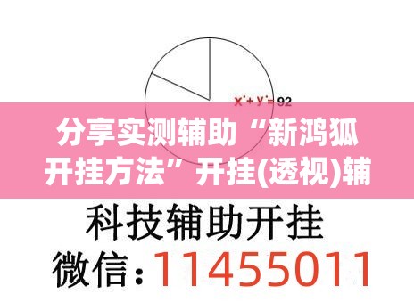 分享实测辅助“新鸿狐开挂方法”开挂(透视)辅助神器