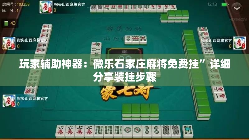 玩家辅助神器：微乐石家庄麻将免费挂”详细分享装挂步骤