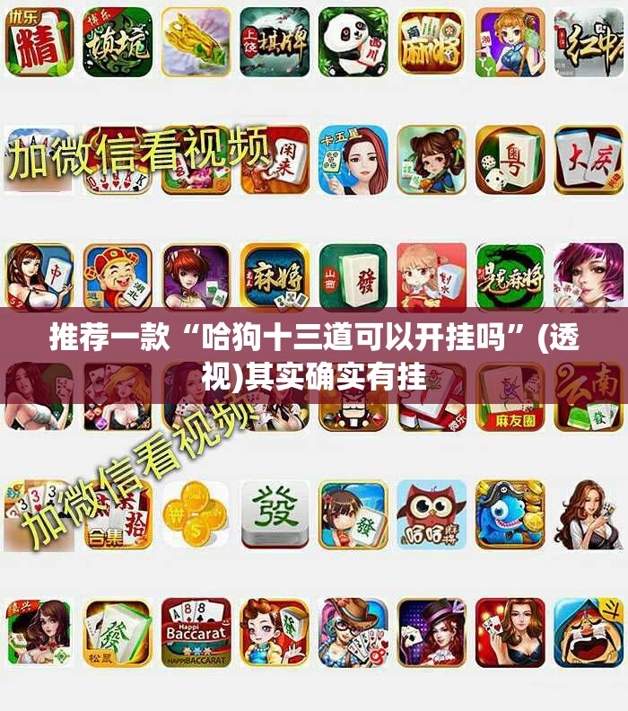 推荐一款“哈狗十三道可以开挂吗	”(透视)其实确实有挂