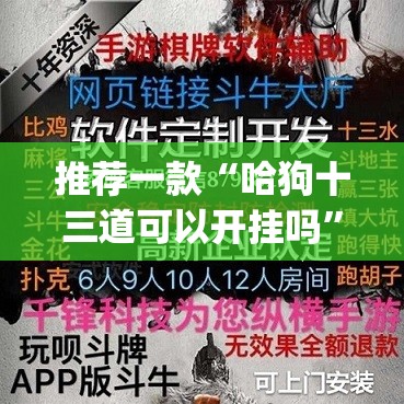 推荐一款“哈狗十三道可以开挂吗”(透视)其实确实有挂