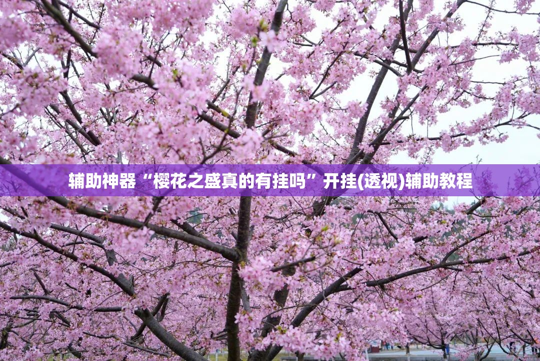 辅助神器“樱花之盛真的有挂吗	”开挂(透视)辅助教程