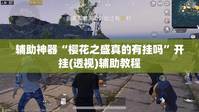 辅助神器“樱花之盛真的有挂吗”开挂(透视)辅助教程