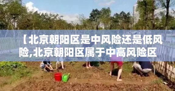 【北京朝阳区是中风险还是低风险,北京朝阳区属于中高风险区吗】