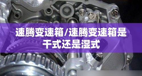 速腾变速箱/速腾变速箱是干式还是湿式 速腾变速箱/速腾变速箱是干式还是湿式