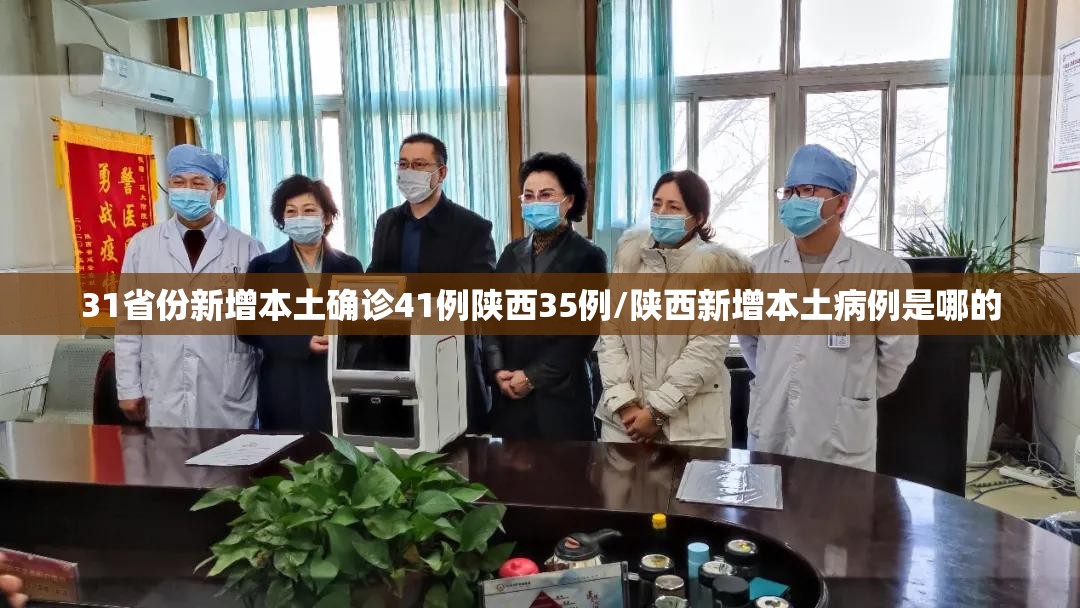 31省份新增本土确诊41例陕西35例/陕西新增本土病例是哪的