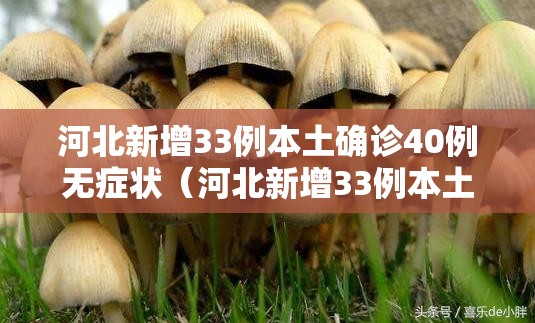 河北新增33例本土确诊40例无症状(河北新增33例本土确诊40例无症状病例) 河北新增33例本土确诊40例无症状(河北新增33例本土确诊40例无症状病例)