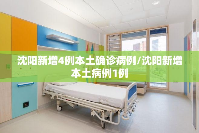 沈阳新增4例本土确诊病例/沈阳新增本土病例1例