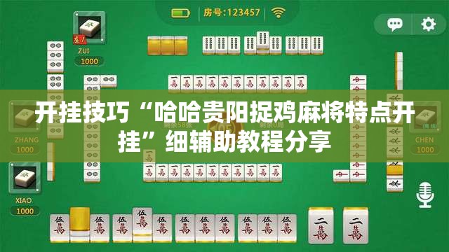 开挂技巧“哈哈贵阳捉鸡麻将特点开挂	”细辅助教程分享