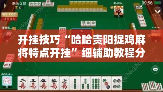 开挂技巧“哈哈贵阳捉鸡麻将特点开挂	”细辅助教程分享