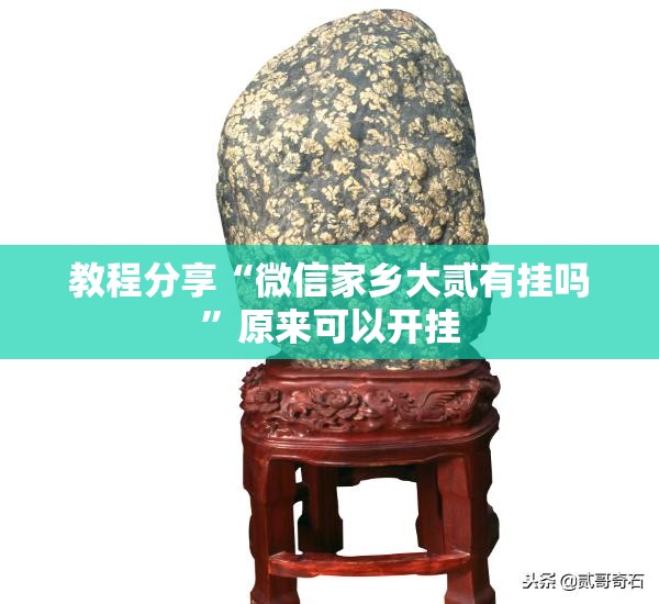 教程分享“微信家乡大贰有挂吗”原来可以开挂