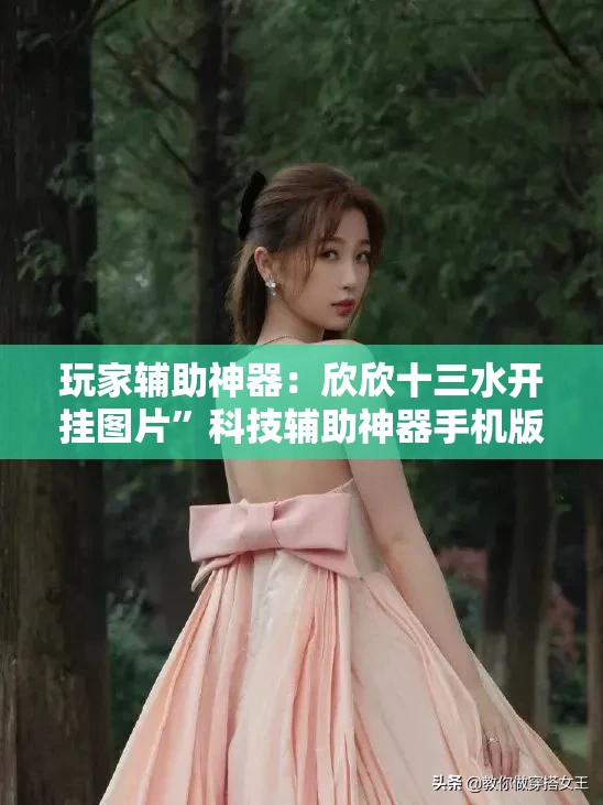 玩家辅助神器：欣欣十三水开挂图片”科技辅助神器手机版