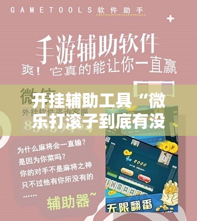 开挂辅助工具“微乐打滚子到底有没有挂”详细分享装挂步骤